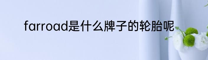 farroad是什么牌子的轮胎呢