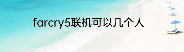 farcry5联机可以几个人