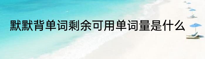 默默背单词剩余可用单词量是什么