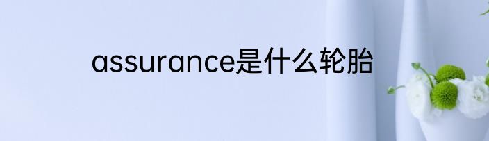 assurance是什么轮胎