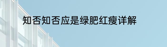 知否知否应是绿肥红瘦详解