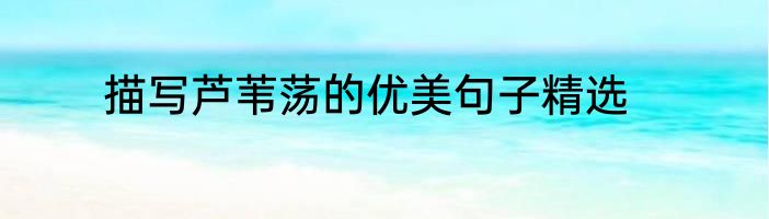 描写芦苇荡的优美句子精选