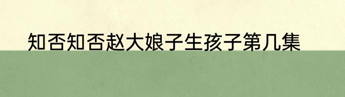 知否知否赵大娘子生孩子第几集