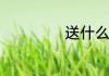 送什么花表示道歉