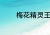 梅花精灵王为什么叫九千岁