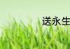 送永生花代表什么