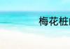 梅花桩的意思是什么