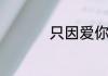 只因爱你歌词简单介绍