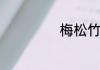 梅松竹品质的诗句