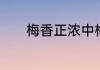 梅香正浓中梅香的意思是什么