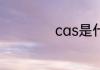 cas是什么物质化学