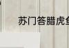 苏门答腊虎鱼的饲养方法分享