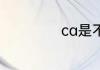 ca是不是金属元素