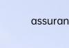 assurance是什么轮胎