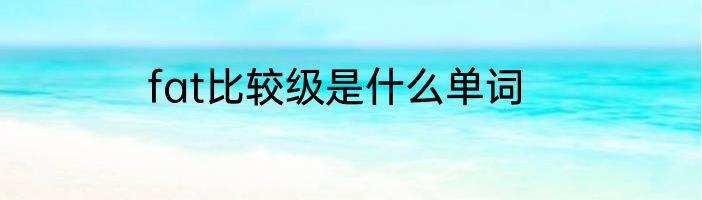 fat比较级是什么单词