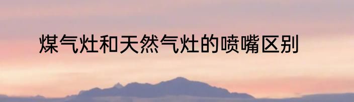 煤气灶和天然气灶的喷嘴区别