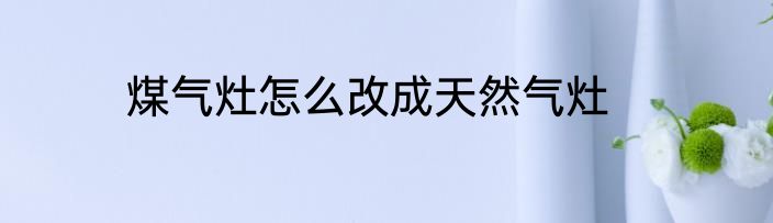 煤气灶怎么改成天然气灶
