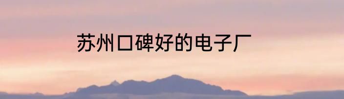 苏州口碑好的电子厂