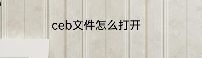ceb文件怎么打开