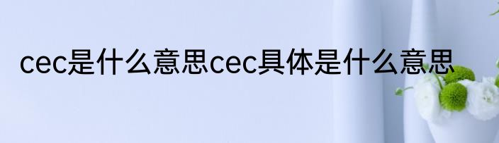 cec是什么意思cec具体是什么意思