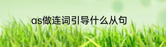 as做连词引导什么从句