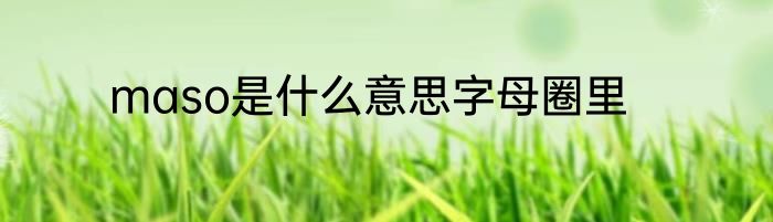 maso是什么意思字母圈里