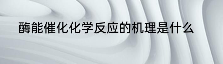 酶能催化化学反应的机理是什么