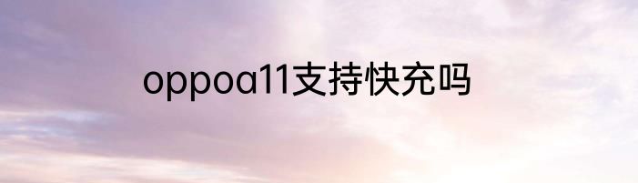 oppoa11支持快充吗