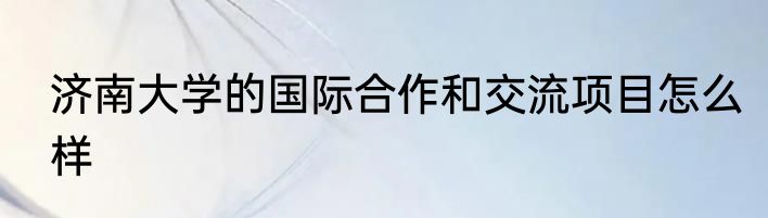 济南大学的国际合作和交流项目怎么样