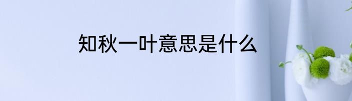 知秋一叶意思是什么