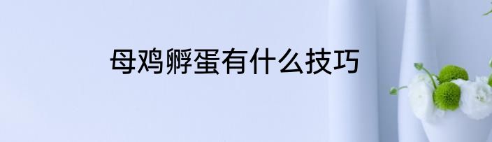 母鸡孵蛋有什么技巧
