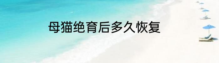 母猫绝育后多久恢复