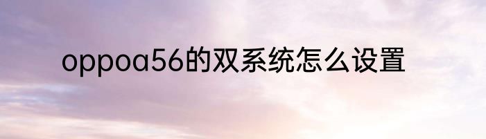 oppoa56的双系统怎么设置