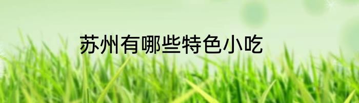 苏州有哪些特色小吃