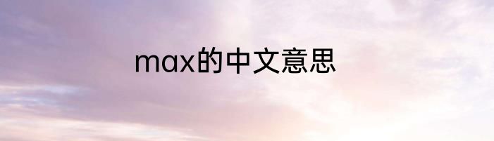 max的中文意思