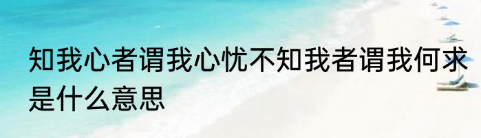知我心者谓我心忧不知我者谓我何求是什么意思