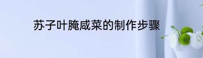 苏子叶腌咸菜的制作步骤