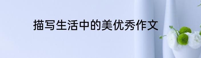 描写生活中的美优秀作文