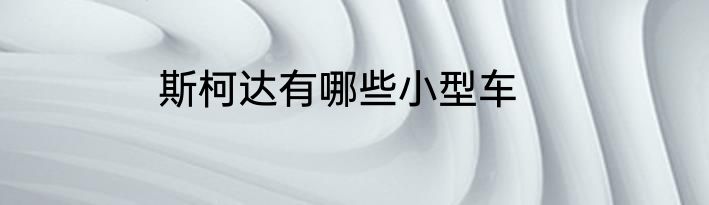 斯柯达有哪些小型车