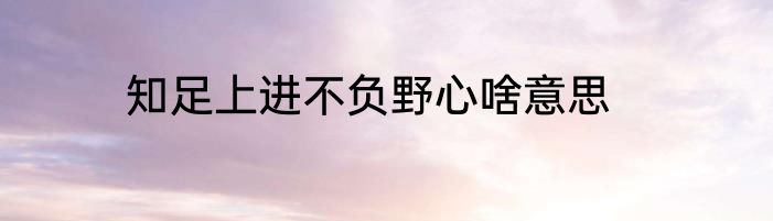 知足上进不负野心啥意思