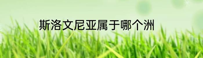 斯洛文尼亚属于哪个洲