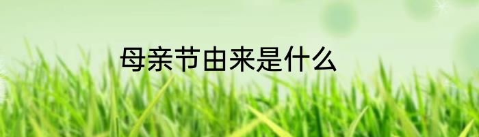 母亲节由来是什么