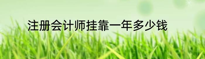 注册会计师挂靠一年多少钱