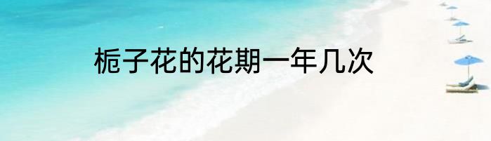 栀子花的花期一年几次