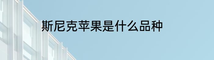 斯尼克苹果是什么品种