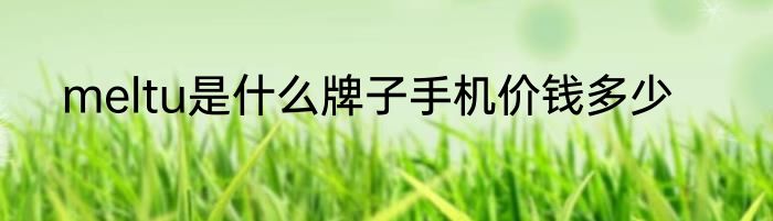 meltu是什么牌子手机价钱多少