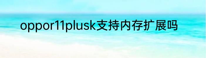 oppor11plusk支持内存扩展吗