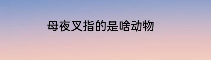 母夜叉指的是啥动物
