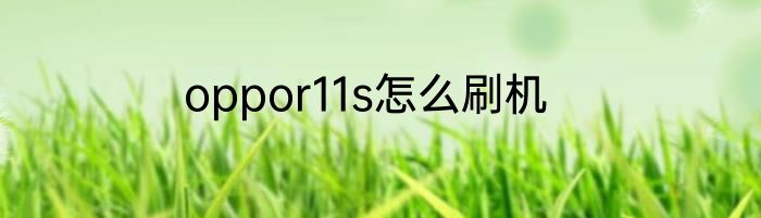oppor11s怎么刷机