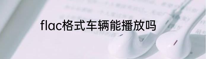 flac格式车辆能播放吗